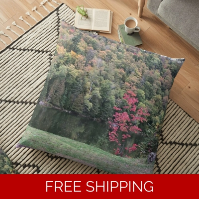 Floor Pillow Case Lake Perry October 2020 Fall Colors